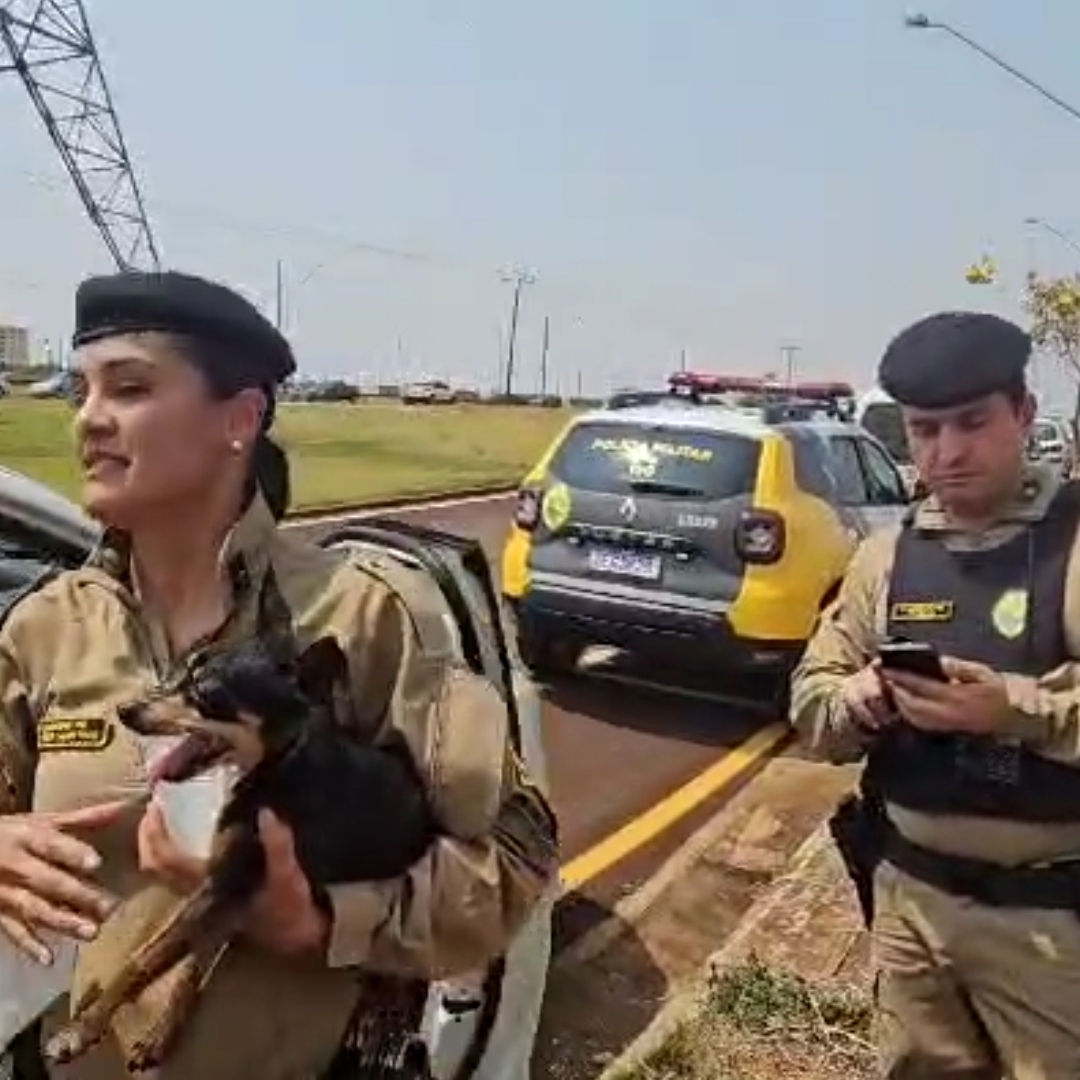 POLÍCIA MILITAR RESGATA IDOSA DURANTE INCÊNDIO EM CHÁCARA NA ZONA LESTE DE LONDRINA 