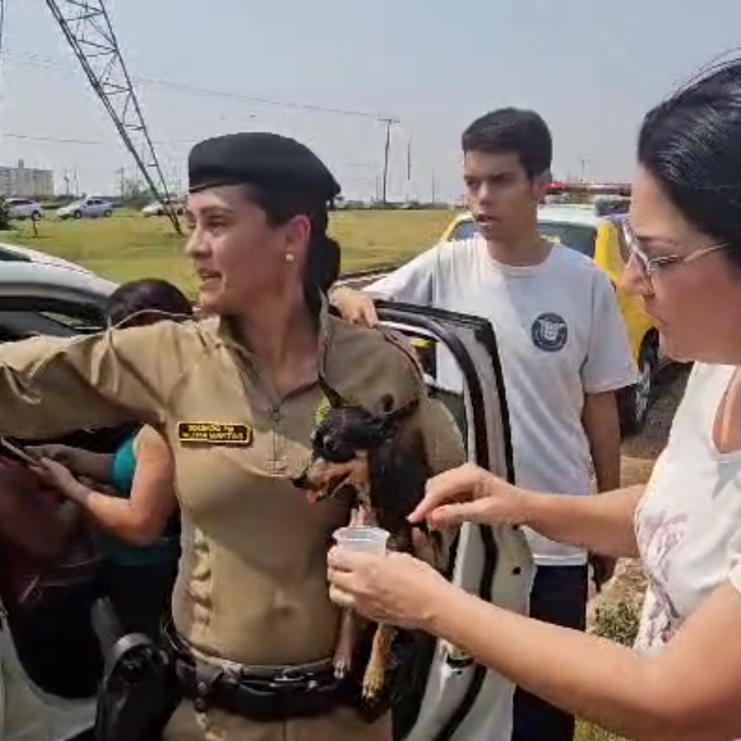 POLÍCIA MILITAR RESGATA IDOSA DURANTE INCÊNDIO EM CHÁCARA NA ZONA LESTE DE LONDRINA 