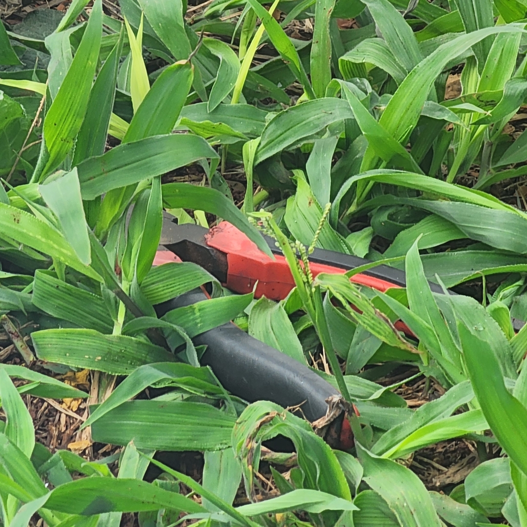 IDENTIFICADO CORPO DE HOMEM ENCONTRADO MORTO NA ZONA OESTE DE LONDRINA 