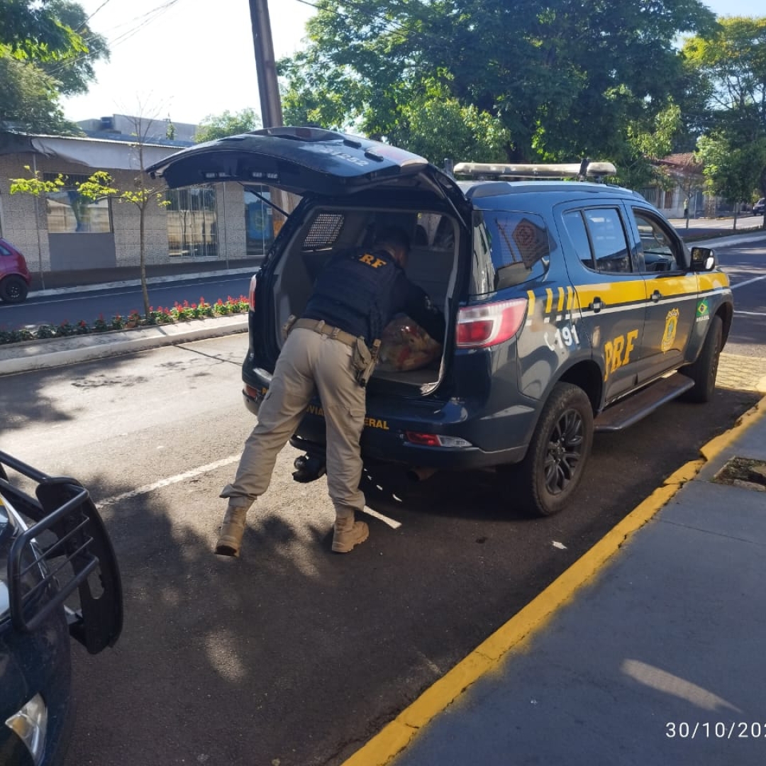 FORÇAS DE SEGURANÇA DEFLAGRAM OPERAÇÃO CONTRA SAQUEADORES DE CARGA 