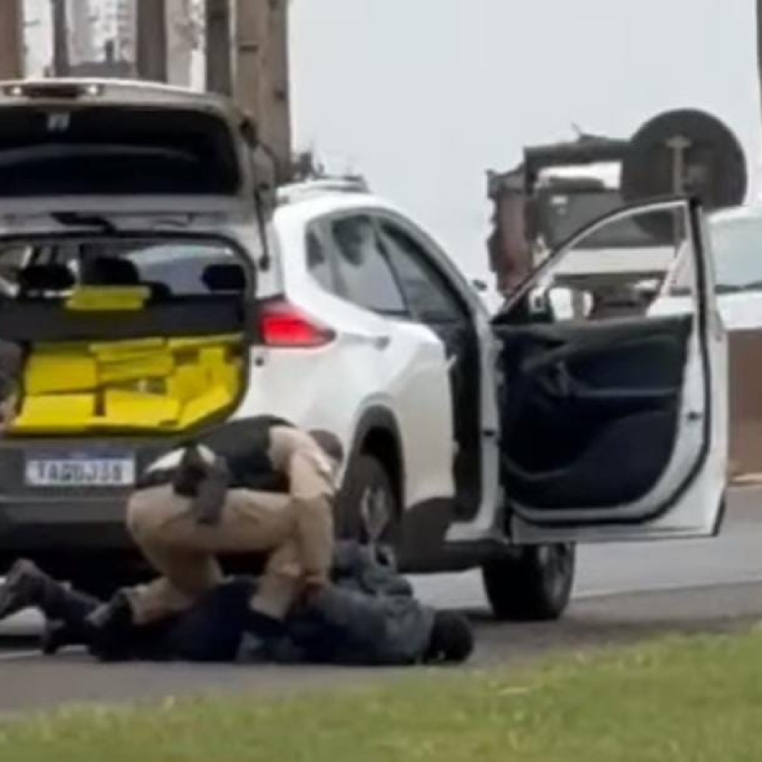 AÇÃO CONJUNTA ENTRE FORÇAS DE SEGURANÇA APREENDE MAIS DE 600 KG DE MACONHA EM ROLÂNDIA