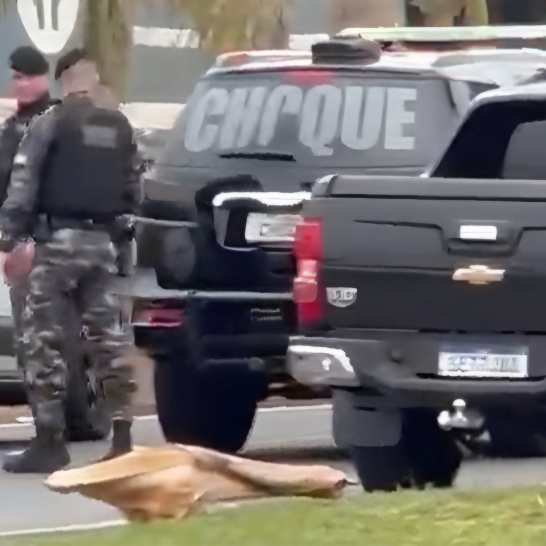 AÇÃO CONJUNTA ENTRE FORÇAS DE SEGURANÇA APREENDE MAIS DE 600 KG DE MACONHA EM ROLÂNDIA