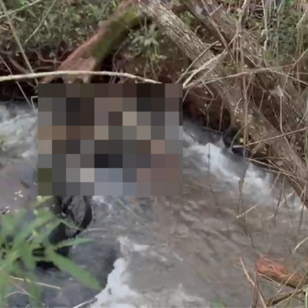 CORPO EM ESTADO AVANÇADO DE DECOMPOSIÇÃO É ACHADO EM CÓRREGO DE LONDRINA; VÍTIMA PODE SER HOMEM DESAPARECIDO