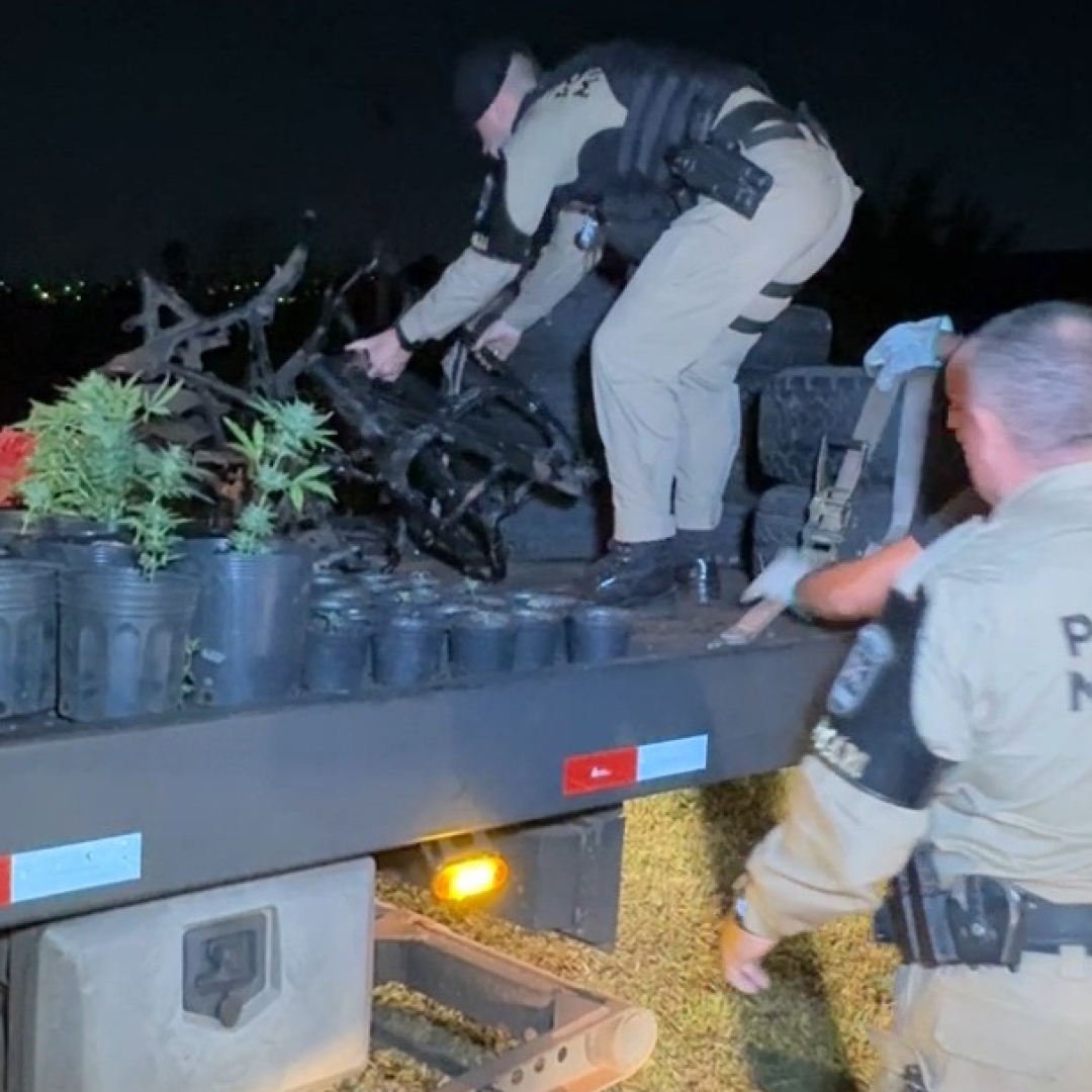 CORPO EM ESTADO AVANÇADO DE DECOMPOSIÇÃO É ACHADO EM CÓRREGO DE LONDRINA; VÍTIMA PODE SER HOMEM DESAPARECIDO