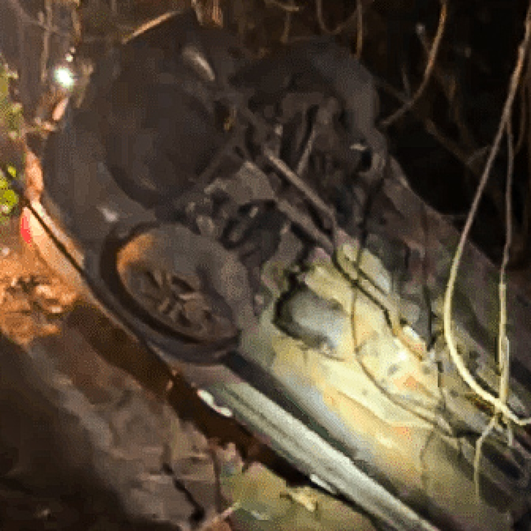 CORPOS DE QUATRO HOMENS DESAPARECIDOS HÁ MAIS DE 40 DIAS SÃO ENCONTRADOS EM ICARAÍMA, NOROESTE DO PARANÁ