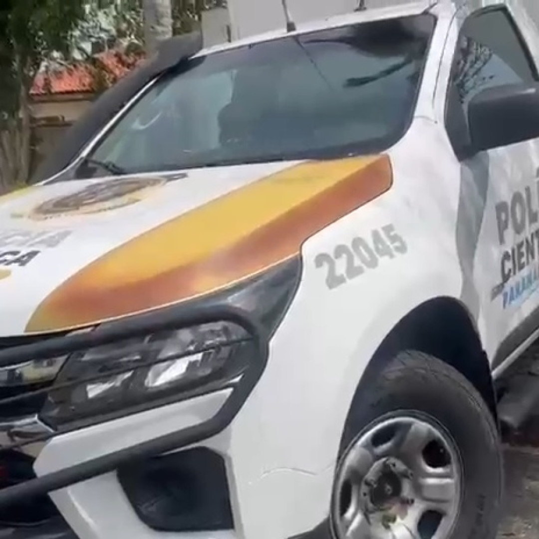 CONFRONTO EM SÃO JOSÉ DOS PINHAIS TERMINA COM MORTE DE 8⁰ SUSPEITO DE EXECUTAR EX-DELEGADO-GERAL DE SÃO PAULO