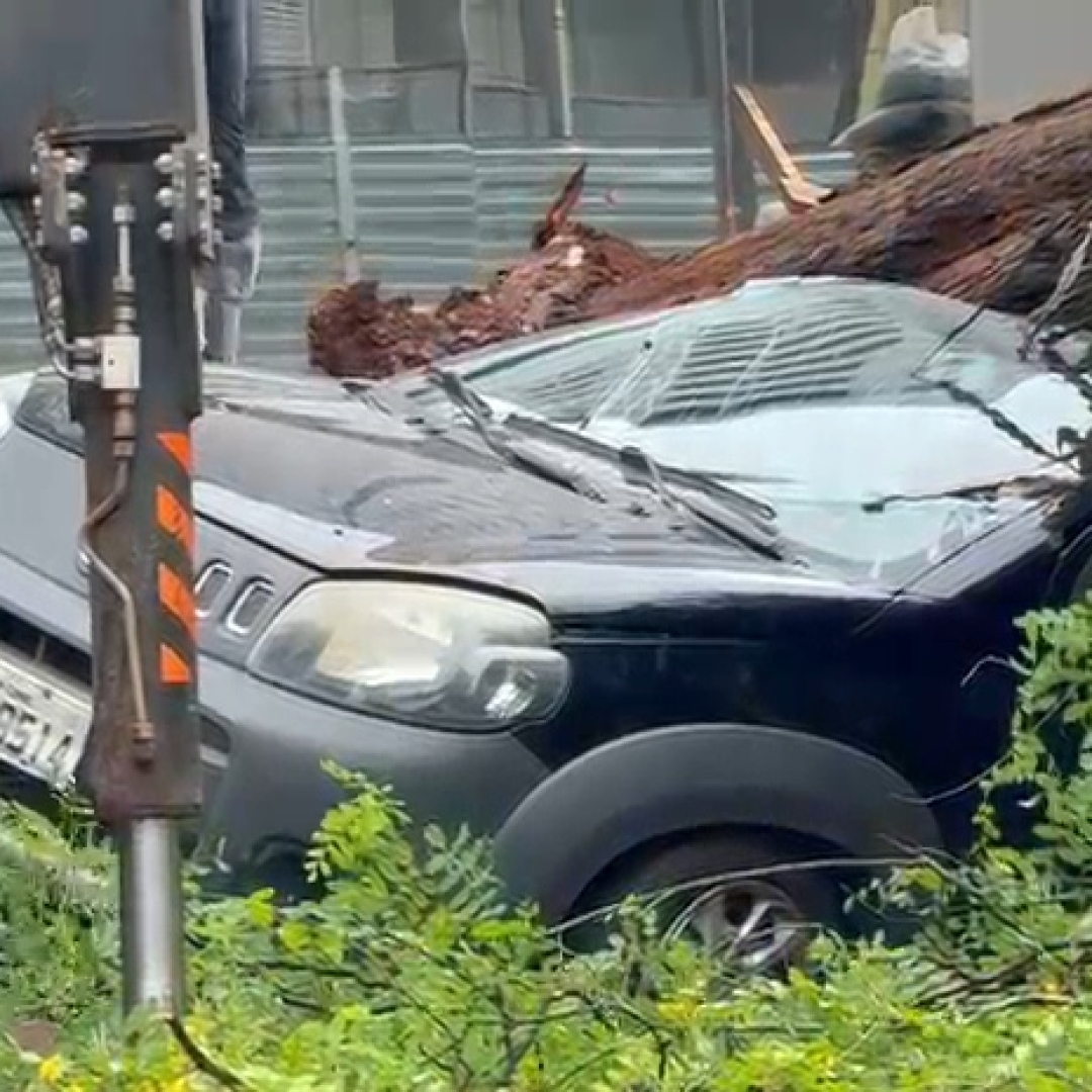 ÁRVORE DE GRANDE PORTE CAI SOBRE CARRO APÓS CHUVA INTENSA E CAUSA TRANSTORNOS NO CENTRO DE LONDRINA