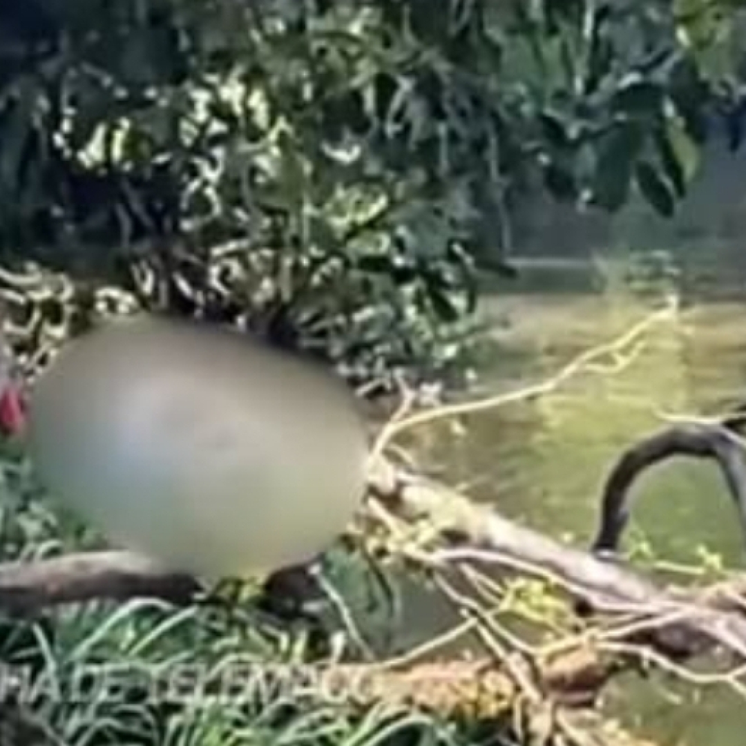 CORPO DE MENINO DE 2 ANOS DESAPARECIDO É ENCONTRADO NO RIO TIBAGI