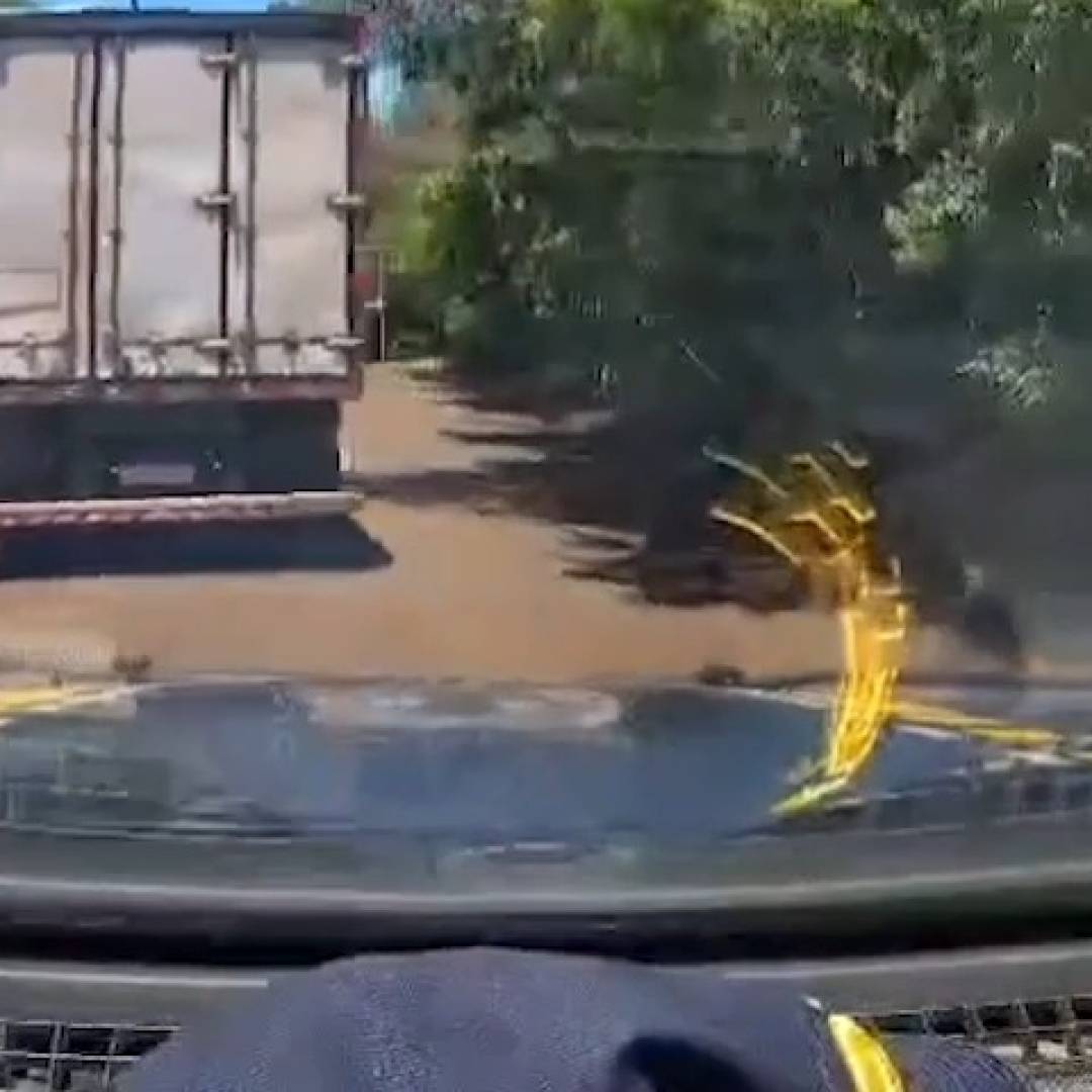 PRF E PF APREENDEM MAIS DE UMA TONELADA DE MACONHA EM AÇÃO CONJUNTA NO PARANÁ