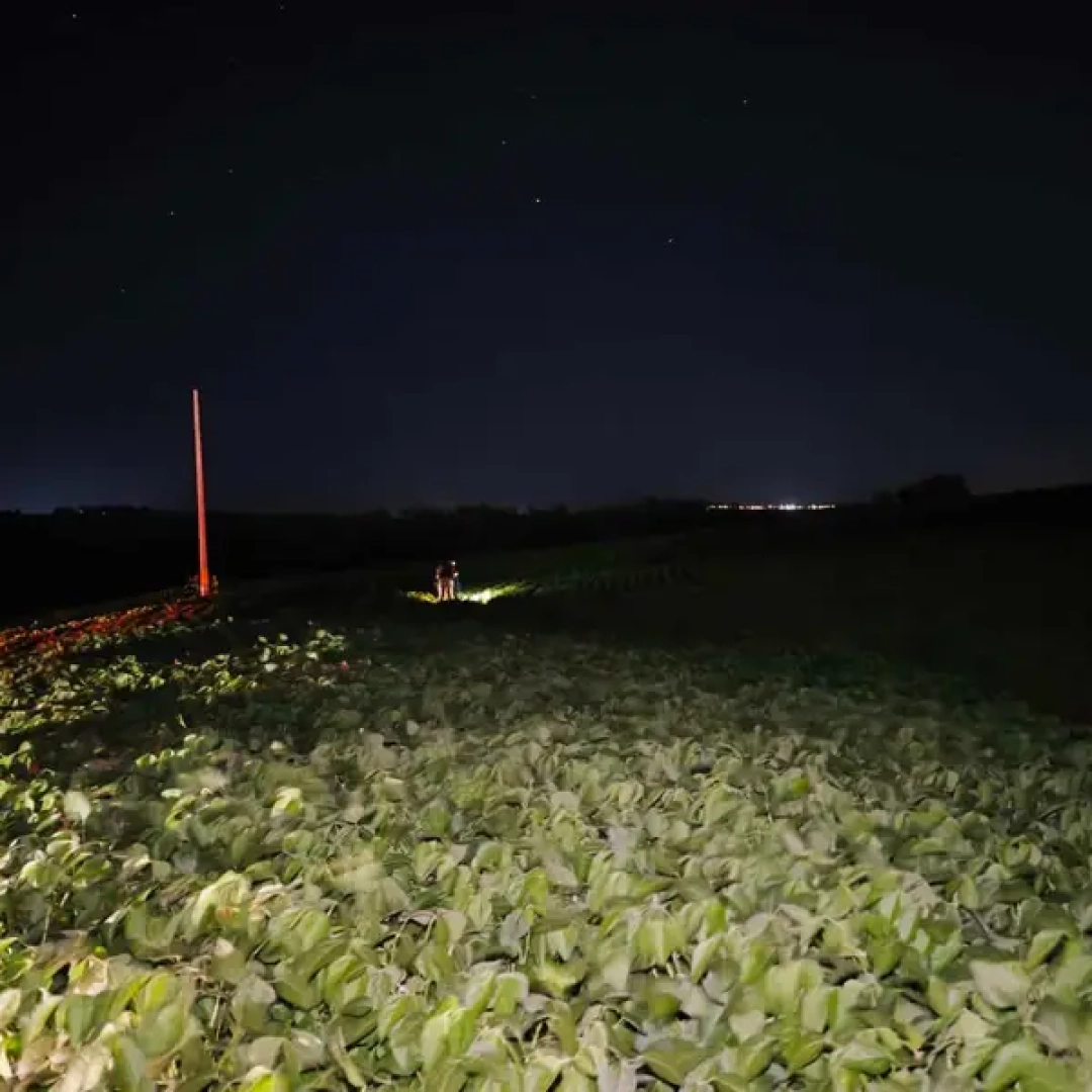 HOMEM ENCONTRADO MORTO NA DIVISA ENTRE CAMBÉ E LONDRINA É IDENTIFICADO PELA POLÍCIA CIENTÍFICA