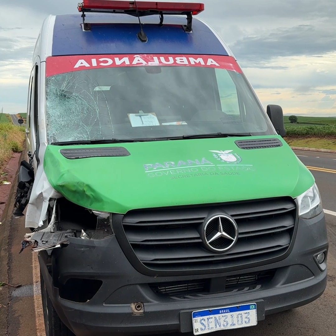 PEDESTRE MORRE ATROPELADO NA PR-090 EM SERTANÓPOLIS