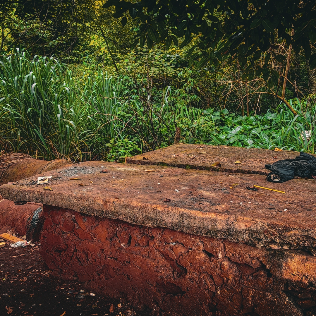 HOMEM É ENCONTRADO MORTO NA MATA DO MARCO ZERO, EM LONDRINA