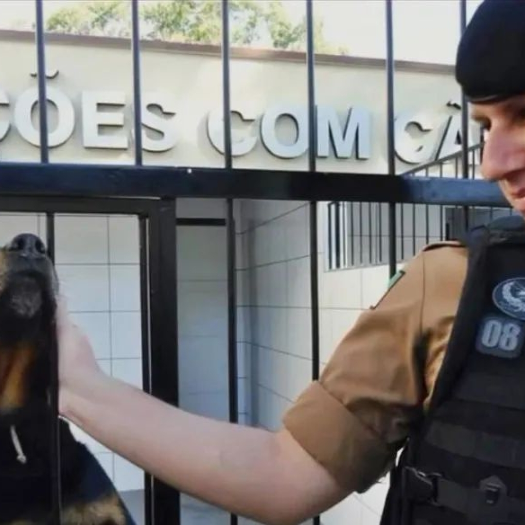 POLICIAL MILITAR MORRE APÓS VIATURA AQUAPLANAR E CAPOTAR NA PR-323, EM DOUTOR CAMARGO