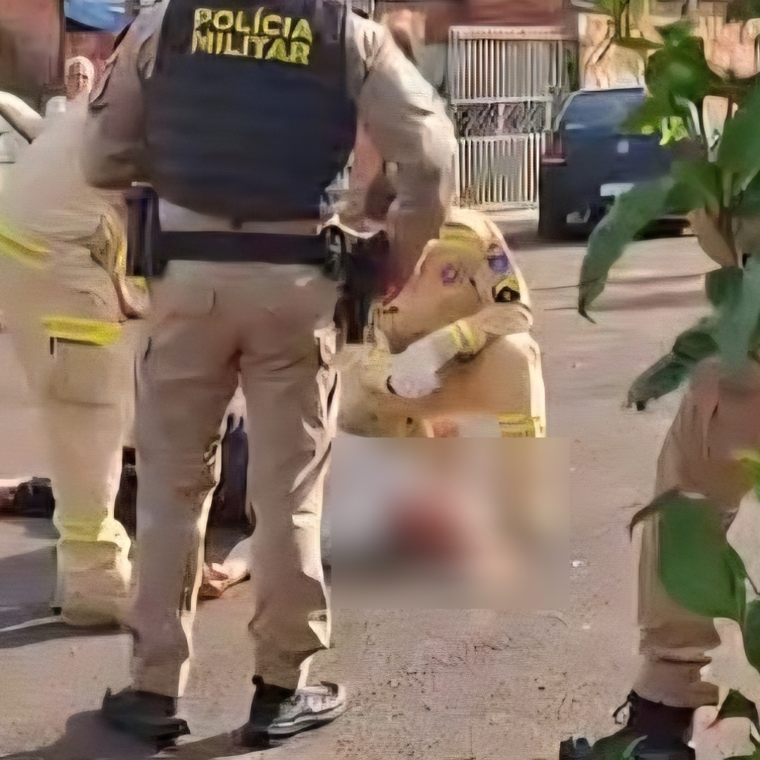 IDOSO MORRE APÓS SER ATACADO DURANTE CAMINHADA NA ZONA LESTE DE LONDRINA