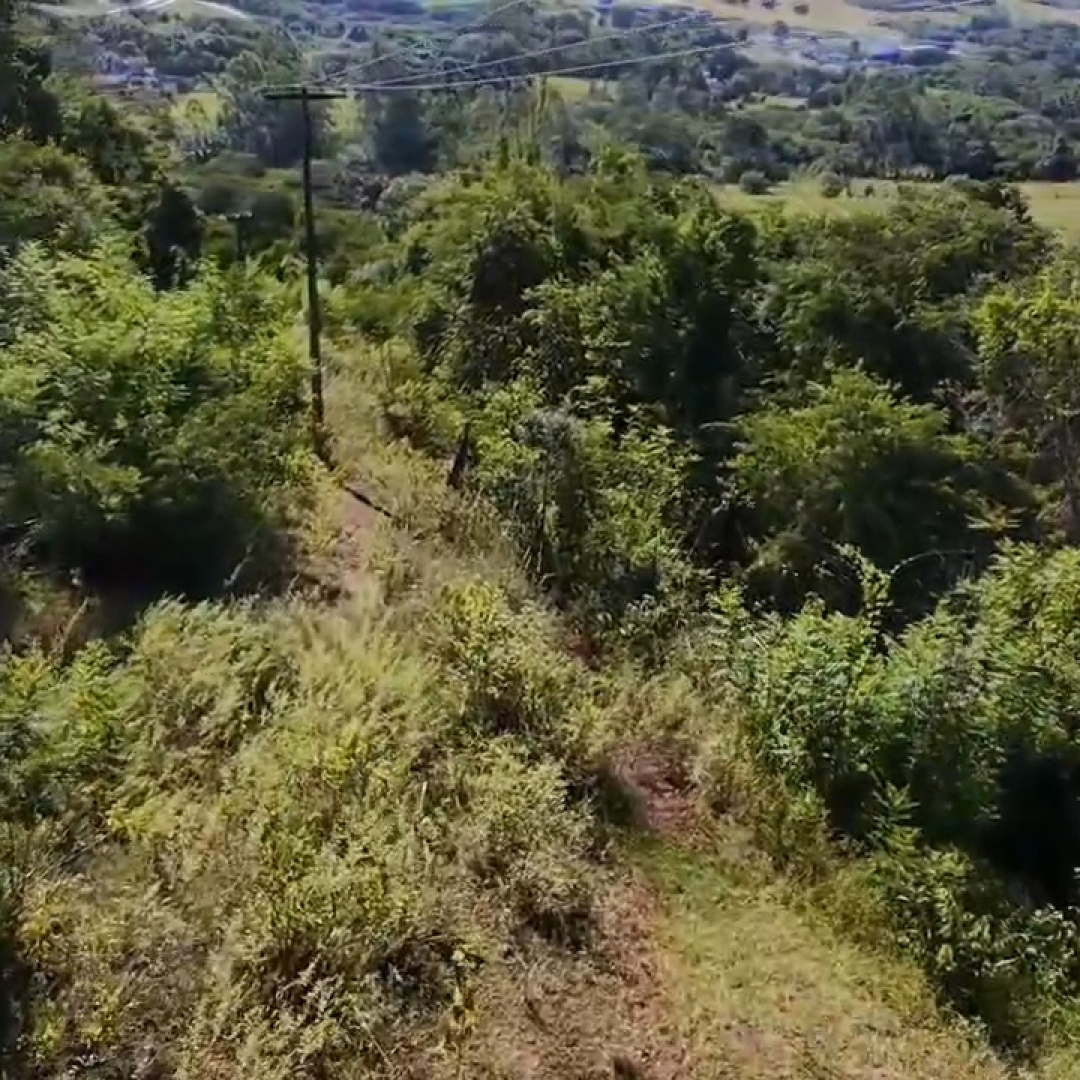 CORPO DE HOMEM DESAPARECIDO É ENCONTRADO EM ÁREA DE MATA EM IBIPORÃ