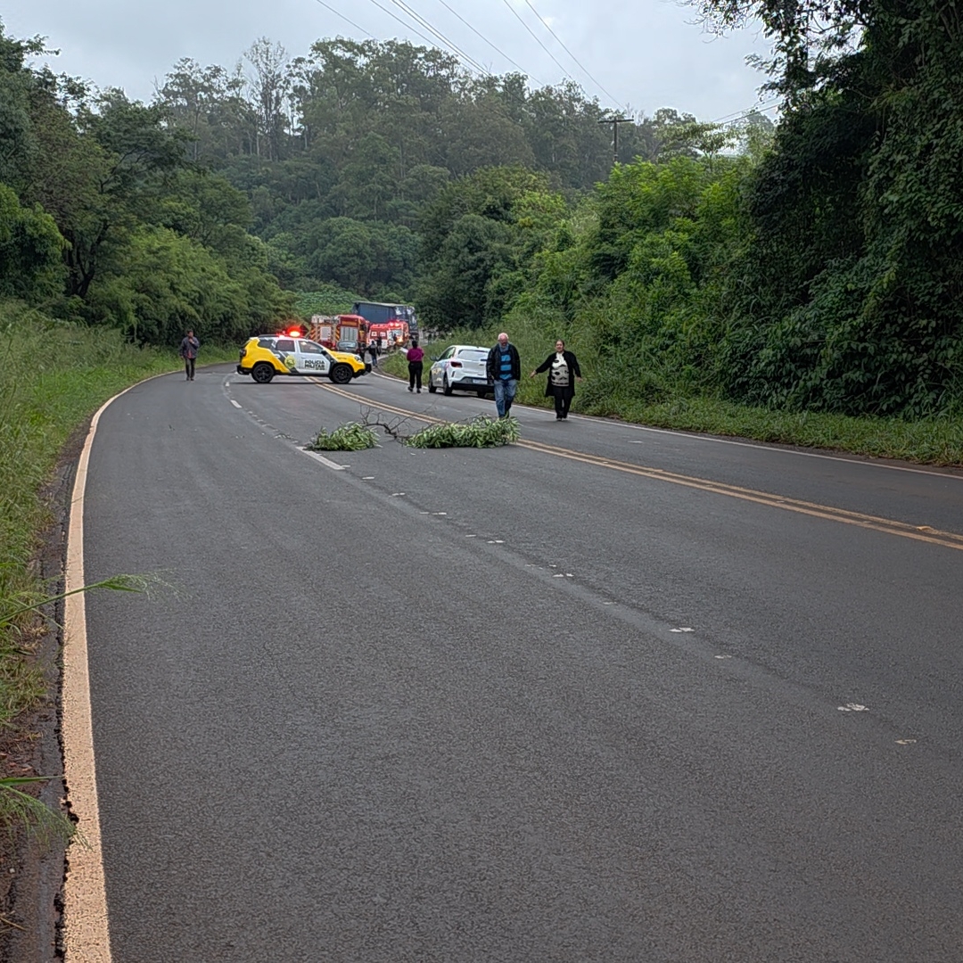 TRAGÉDIA NA PR-545: VÍTIMAS DE COLISÃO ENTRE CAMINHÕES FORAM SEPULTADAS EM LONDRINA