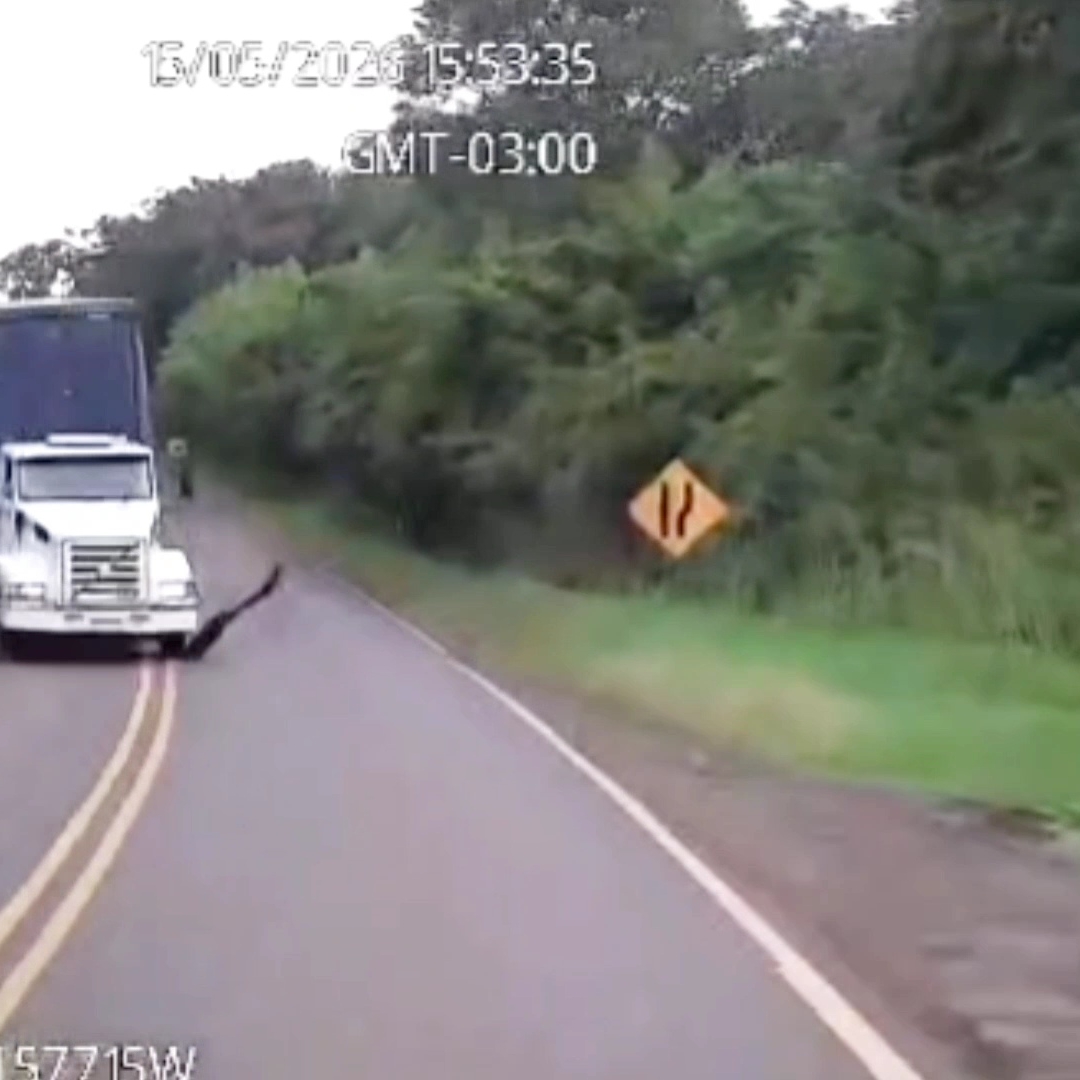TRAGÉDIA NA PR-545: VÍTIMAS DE COLISÃO ENTRE CAMINHÕES FORAM SEPULTADAS EM LONDRINA