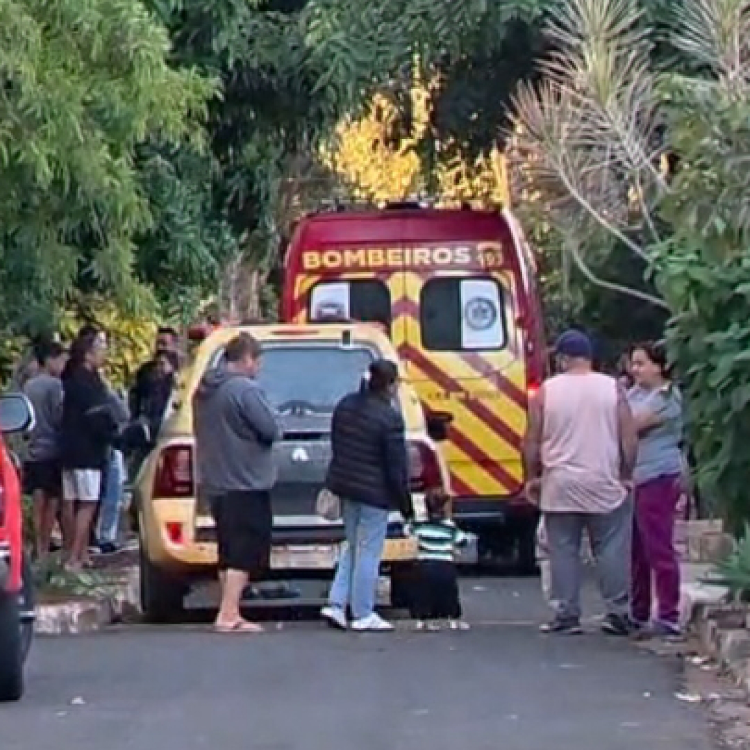 IDOSO MORRE APÓS CAIR DE ÁRVORE DURANTE PODA NA ZONA NORTE DE LONDRINA