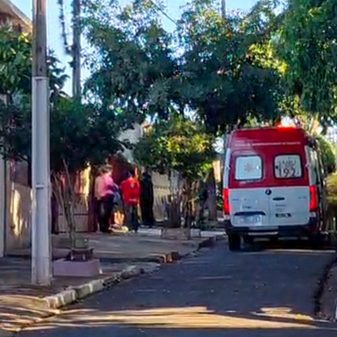 IDOSO MORRE APÓS CAIR DE ÁRVORE DURANTE PODA NA ZONA NORTE DE LONDRINA