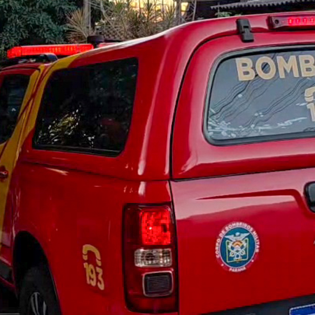 IDOSO MORRE APÓS CAIR DE ÁRVORE DURANTE PODA NA ZONA NORTE DE LONDRINA