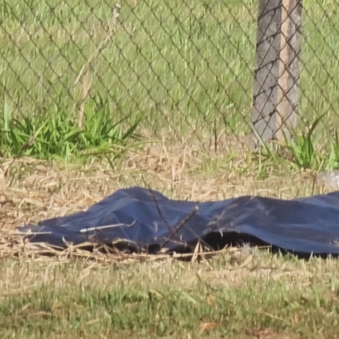 DOIS HOMENS MORREM EM CONFRONTO COM A ROTAM NA PR-538; OPERAÇÃO TERMINA COM MAIS DE 115 QUILOS DE DROGAS APREENDIDOS EM LONDRINA