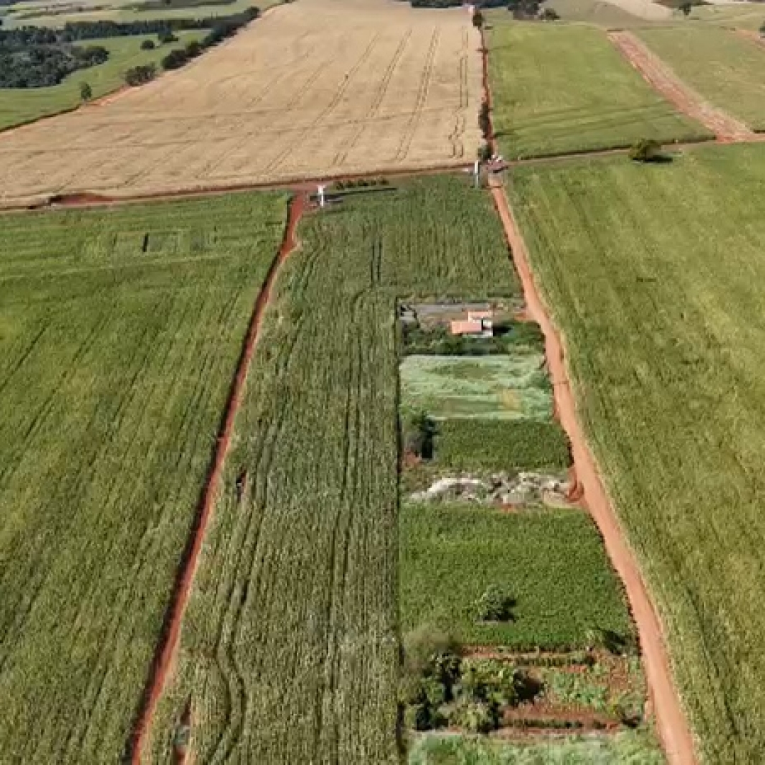 HOMEM MORRE APÓS CONFRONTO COM PM DE FOLGA EM PROPRIEDADE RURAL DE CAMBÉ