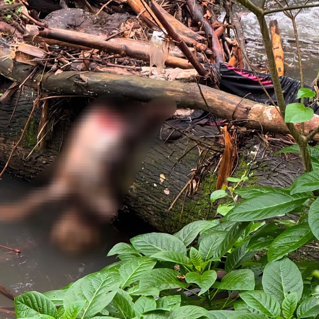 CORPO EM AVANÇADO ESTADO DE DECOMPOSIÇÃO É ENCONTRADO NO RIBEIRÃO CAMBÉ, NA ZONA OESTE DE LONDRINA