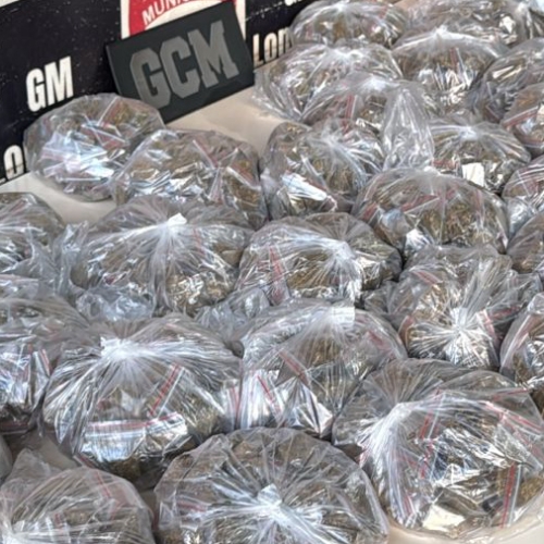GM APREENDE 8 KG DE MACONHA ESCONDIDOS EM MÁQUINA DE LAVAR NO NOVO AMPARO