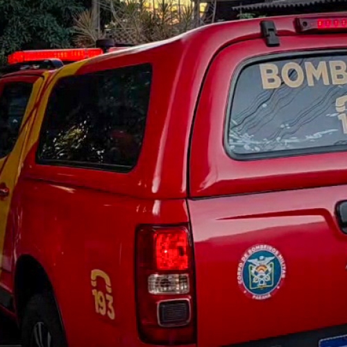 IDOSO MORRE APÓS CAIR DE ÁRVORE DURANTE PODA NA ZONA NORTE DE LONDRINA