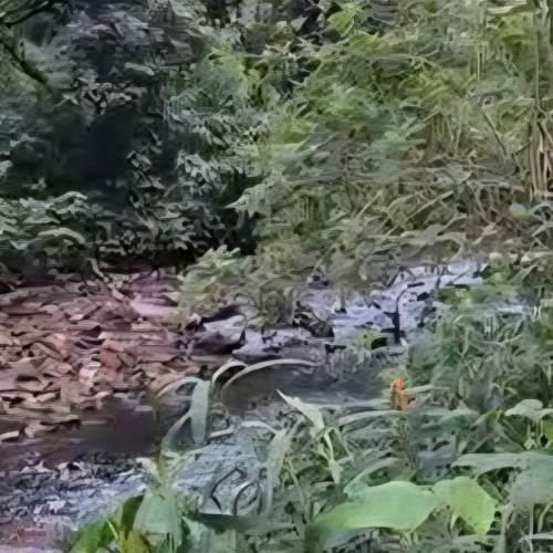 CORPO EM AVANÇADO ESTADO DE DECOMPOSIÇÃO É ENCONTRADO NO RIBEIRÃO CAMBÉ, NA ZONA OESTE DE LONDRINA