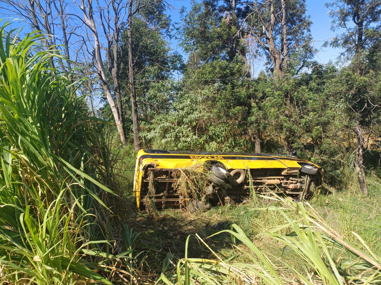 GRAVE ACIDENTE NA BR-376 EM ORTIGUEIRA ENVOLVE ÔNIBUS ESCOLAR E DUAS CARRETAS 